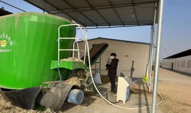农牧业公司发展春节前养殖场安全出产大查抄