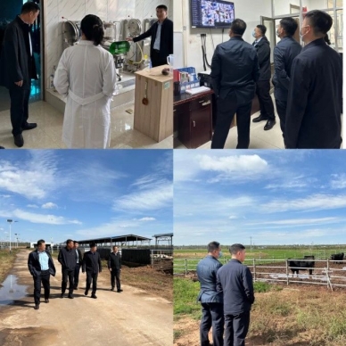 zoty·中欧投资集团发展国庆节前安全查抄工作