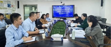 正泰药业接受自治区换证组现场查抄验收