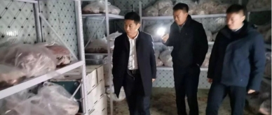 冷链不“掉链”，，，筑牢安全线