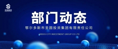 加强审计沟通 提升审计质效