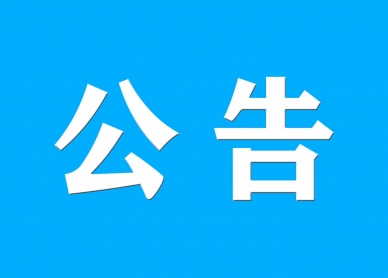 鄂尔多斯市金财资产治理有限责任公司资产措置布告