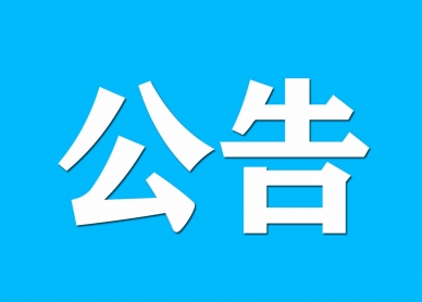 鄂尔多斯市金财资产治理有限责任公司资产措置布告