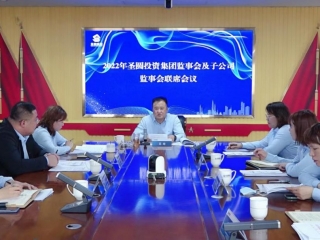 鄂尔多斯市zoty·中欧投资集团召开2022年集团公司监事会及子公司监事会联席会议